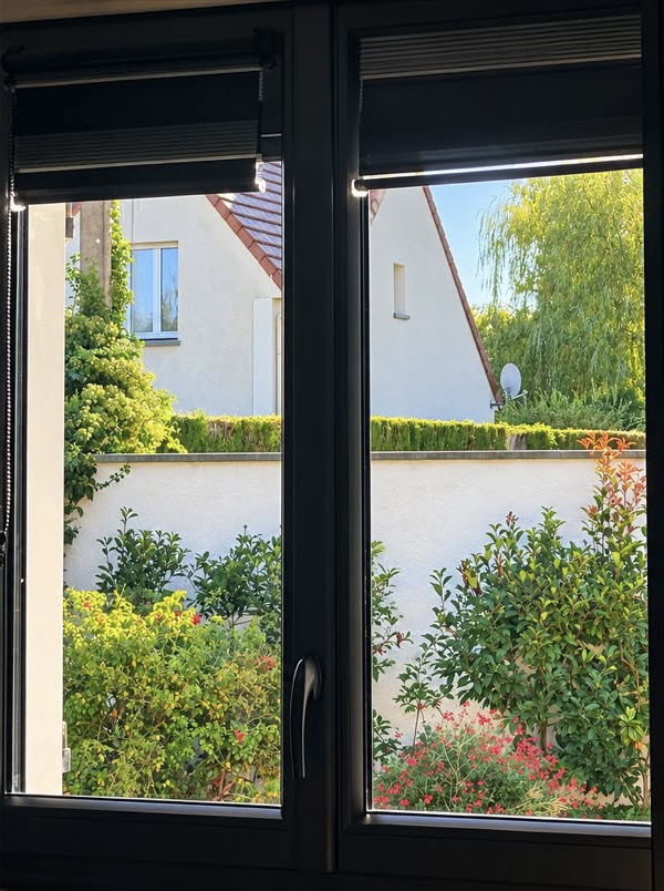 Les mêmes fenêtres après nettoyage : le jardin se voit nettement à travers les vitres